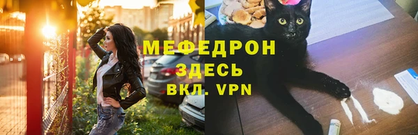 шишки Коряжма