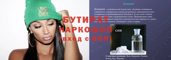 крисы Корсаков