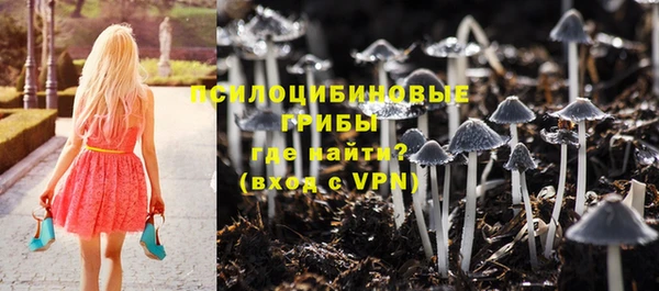 шишки Коряжма