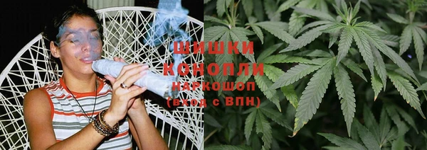крисы Корсаков