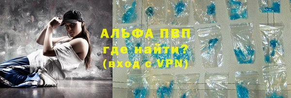 шишки Коряжма