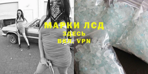 крисы Корсаков