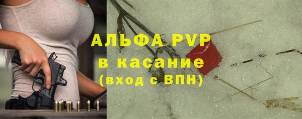крисы Корсаков