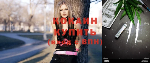 сатива Костерёво