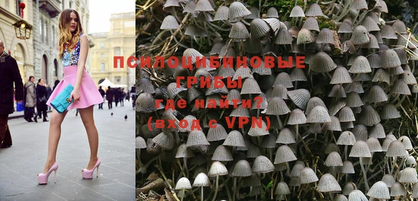 гашик Кодинск